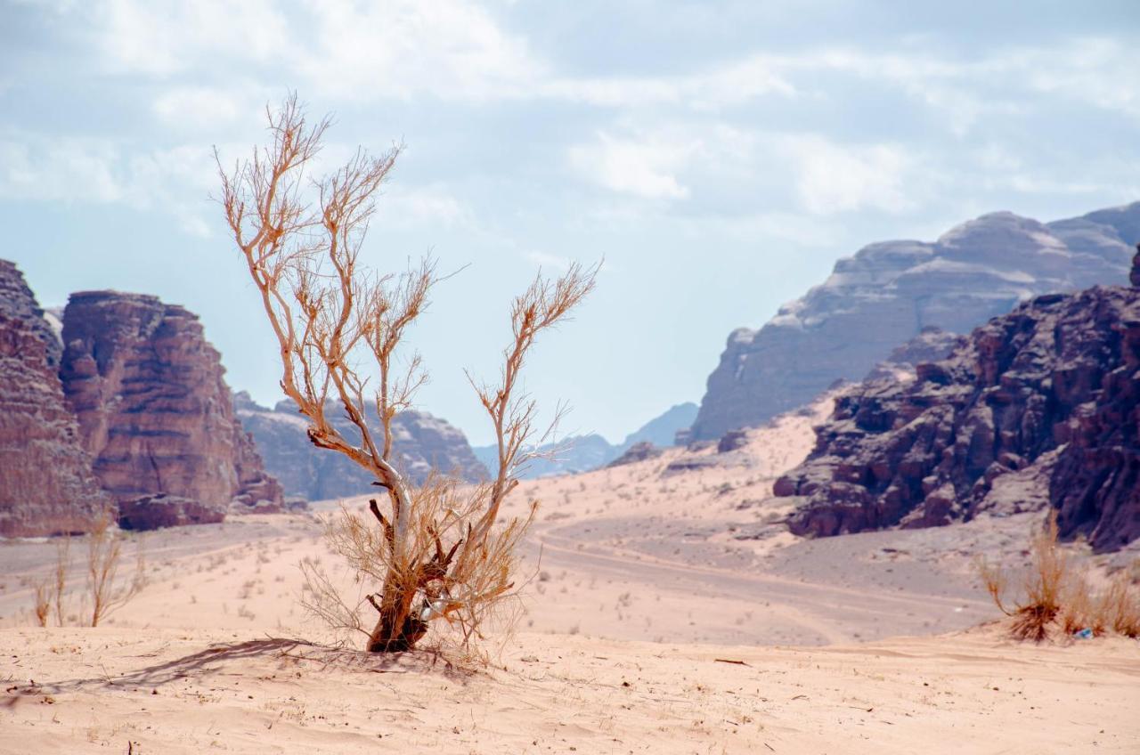 Arena Desert Camp & Adventurers Wadi Rum Exterior photo